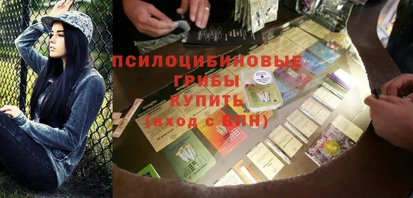 a pvp Алзамай