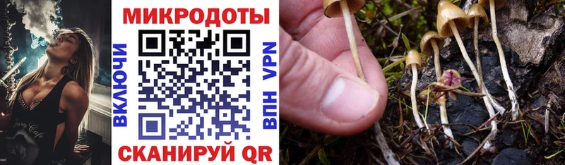 мега рабочий сайт Йошкар-Ола Псилоцибиновые грибы прущие грибы
