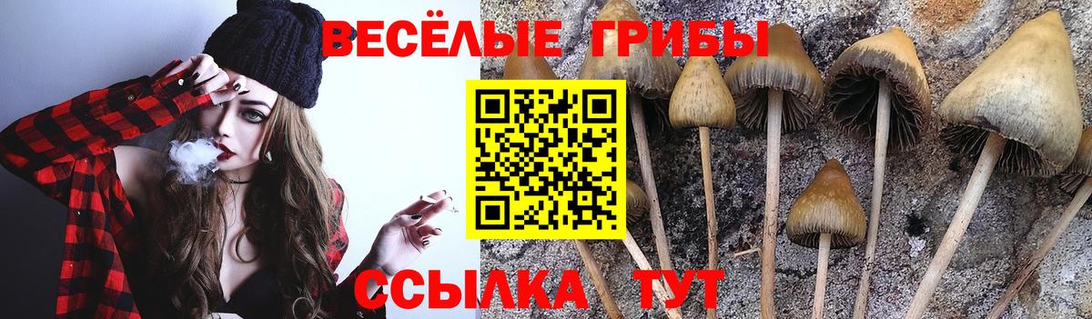 Йошкар-Ола  Псилоцибиновые грибы MAGIC MUSHROOMS  Галлюциногенные грибы ЛСД  Вход с VPN 