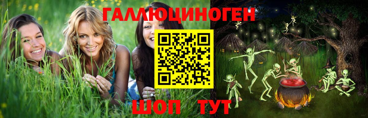 Галлюциногенные грибы Psilocybe Йошкар-Ола